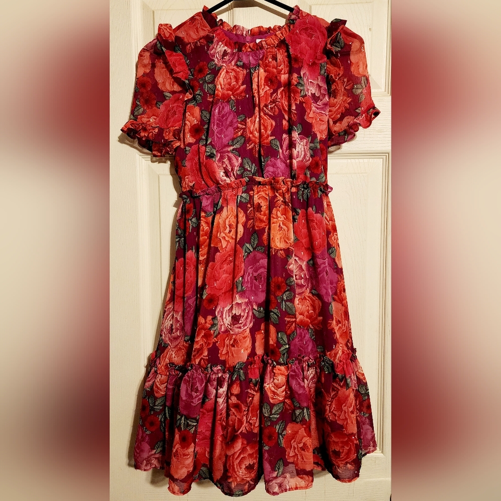 Big girl's size 12+ red and pink floral dress